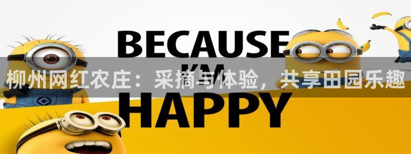 金年会黑网