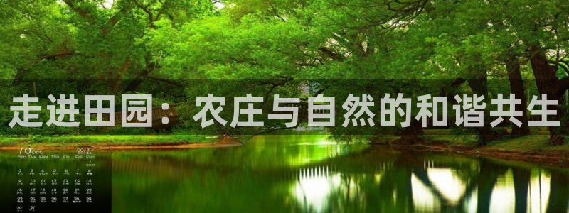陆金所 年会