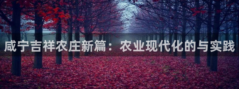 金年会体育平台入口