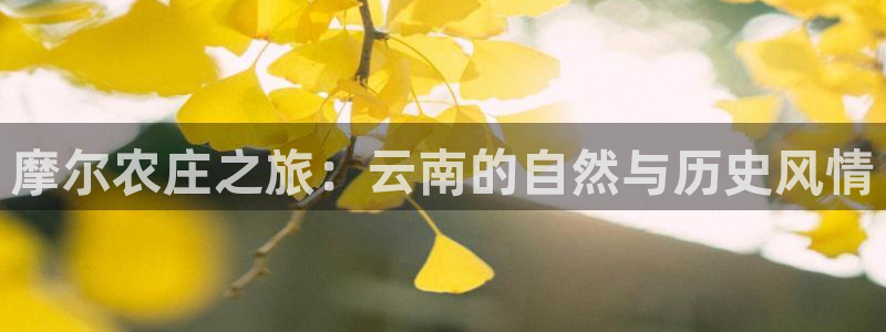 金帆年会2017