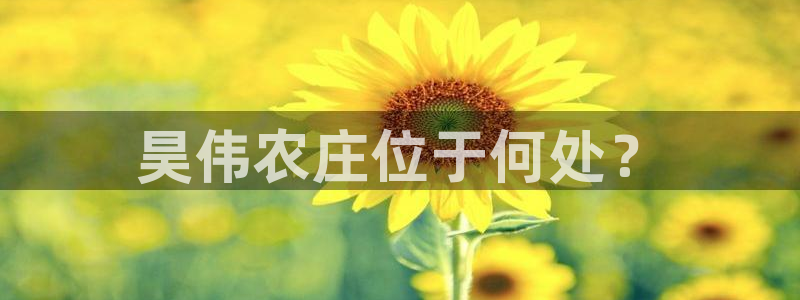 金年会 金字招牌