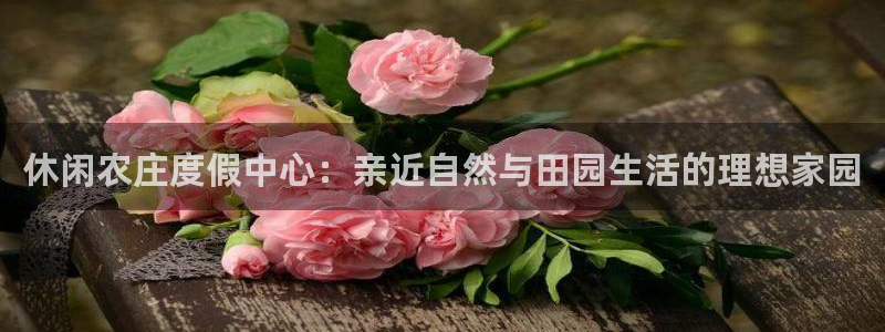2022金年会