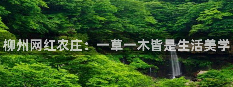 金年会取款
