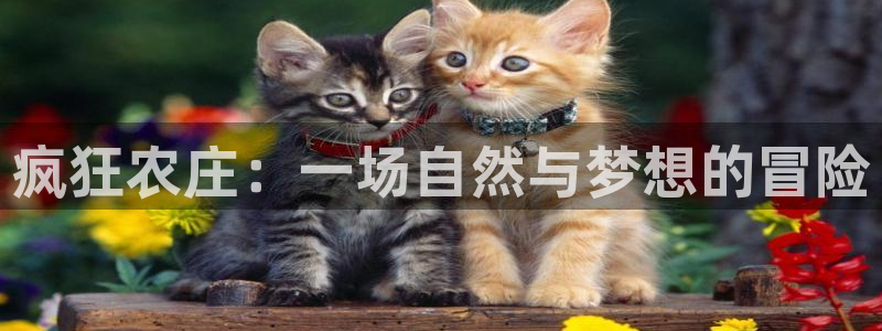 金年会6766澳门联合