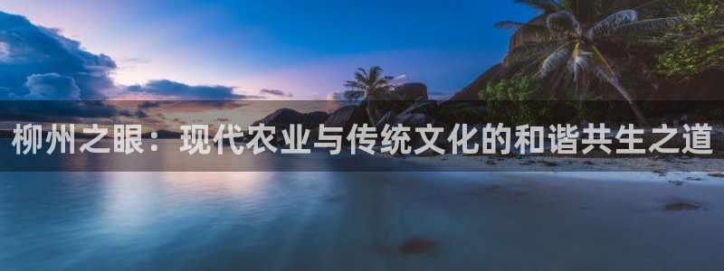 融通金年会