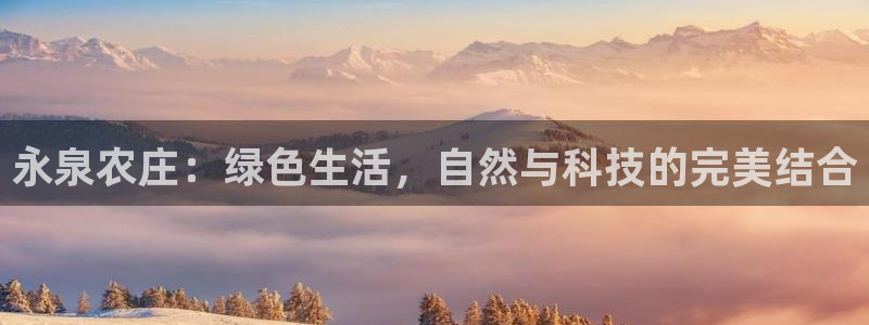 金年会能提款吗