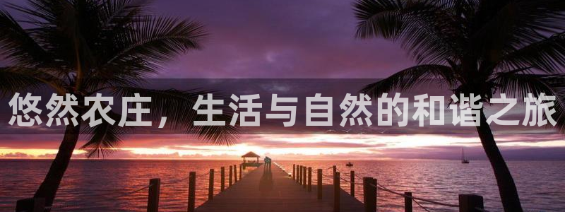 金年会 平台