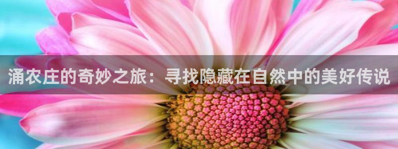 金年会体育娱乐