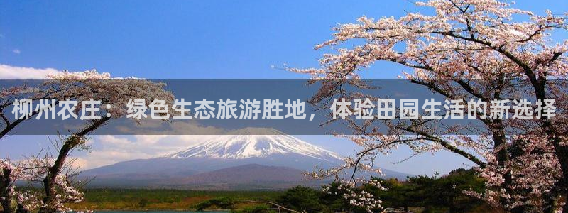 金年会提款