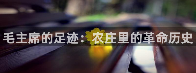金年会网页