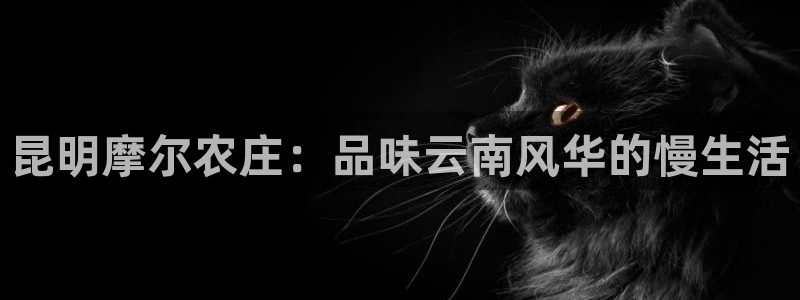 金年会足彩