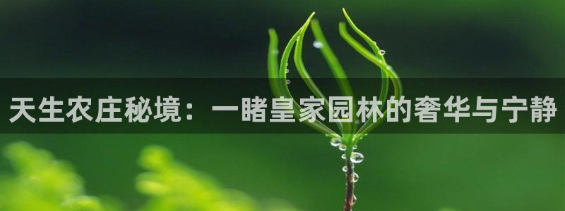 金金年会