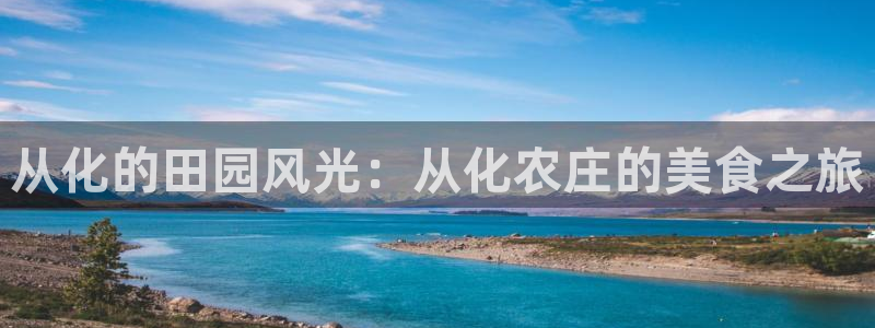 金年会APP黑钱