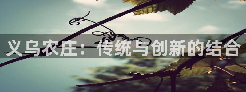 金年会最新下载