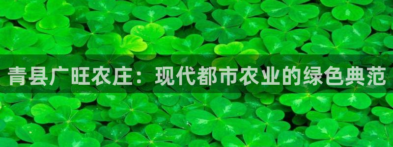 金年会体育娱乐