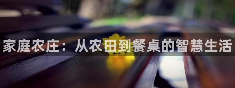 金年会电子游戏