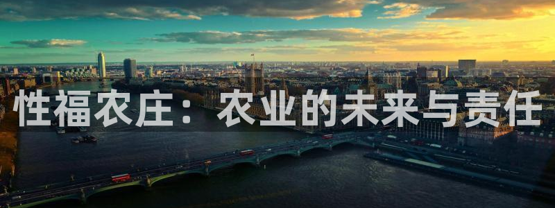 金年会退款