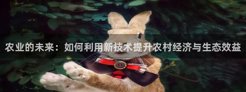 为什么搜索不了金年会