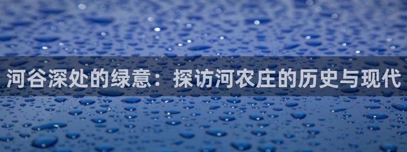 金年会入口网站