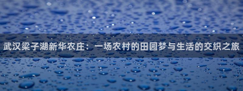 金年会VIP