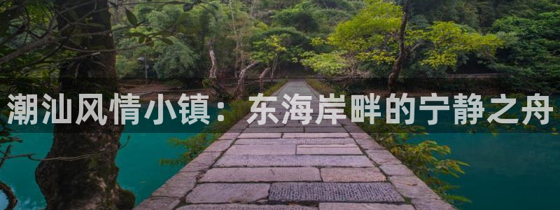 金立年会
