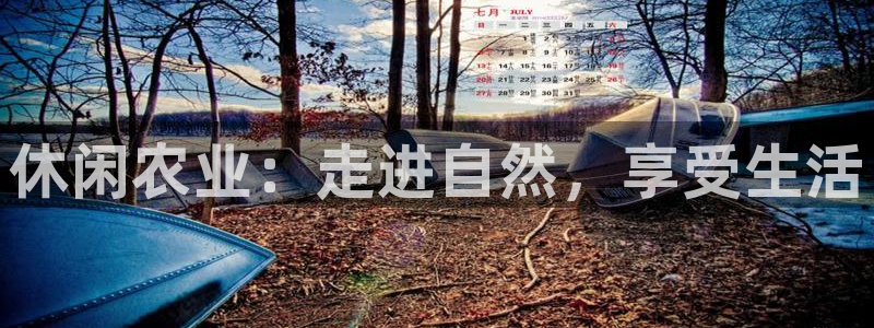 金年会电子游戏