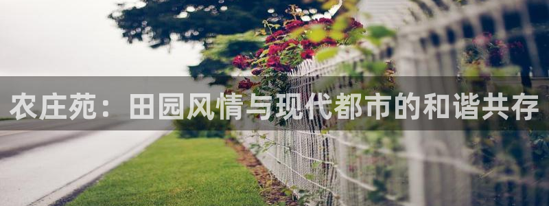 金年会101