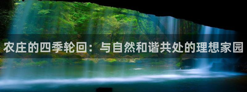 金吉年会