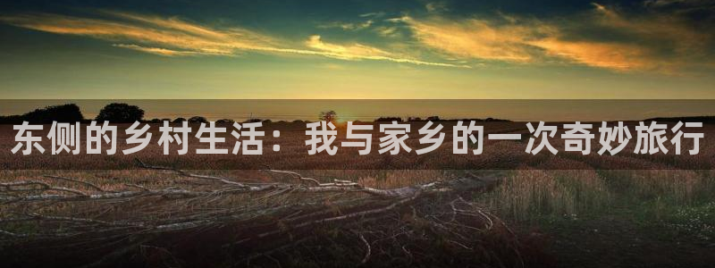 金年会 平台