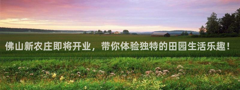 金年会娱乐下载