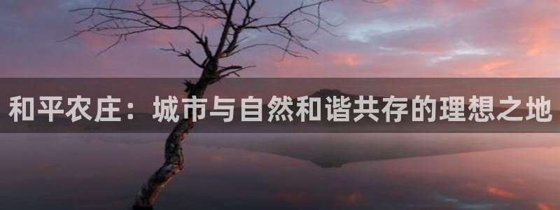 金年会平台是真的吗