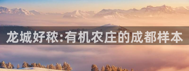 金年会金字招牌在线入口