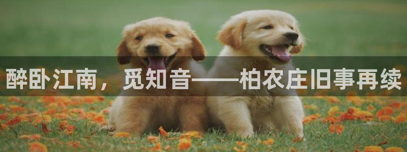 金年会澳门6766