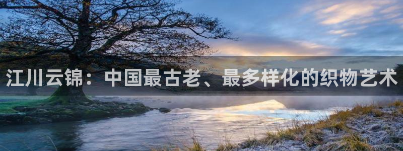 金年会赞助商
