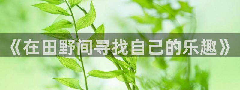 金帆年会2017