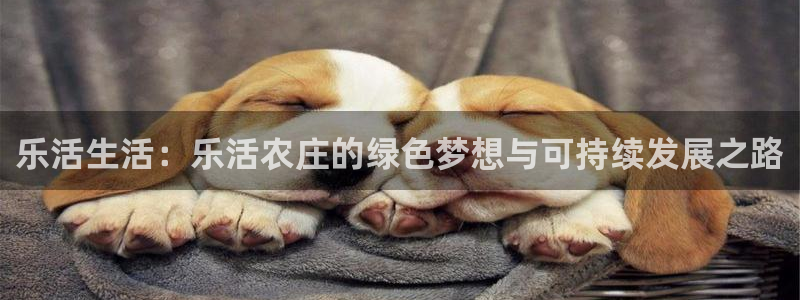 金年会体育官方下载