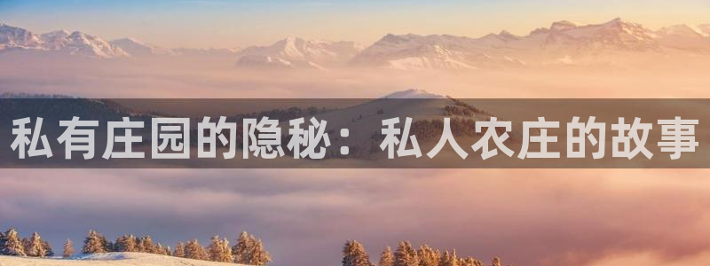 金 金年会