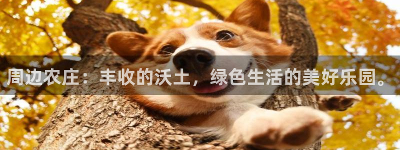 金年会app在线
