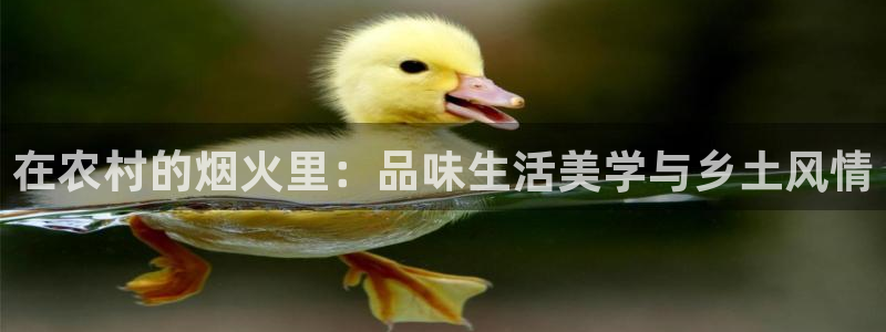 金年会彩金