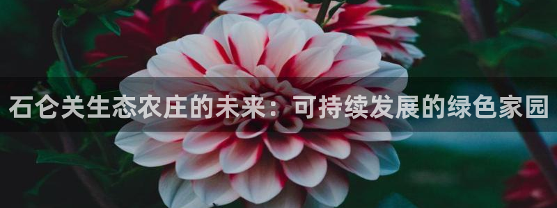 亚博金年会