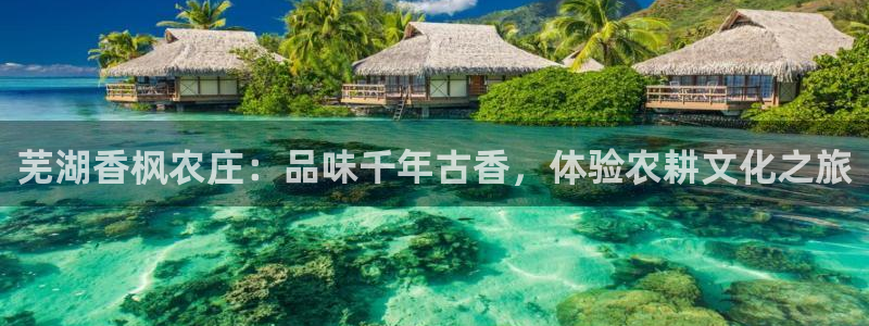 金年会体育官方网站