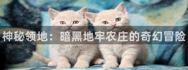金年会棋牌