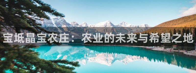 金年会体育平台入口