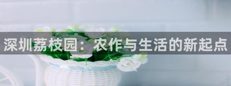 今年会送彩金28