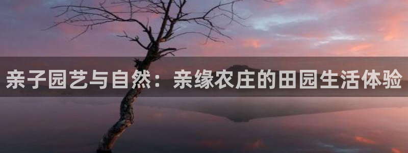 金年会娱乐