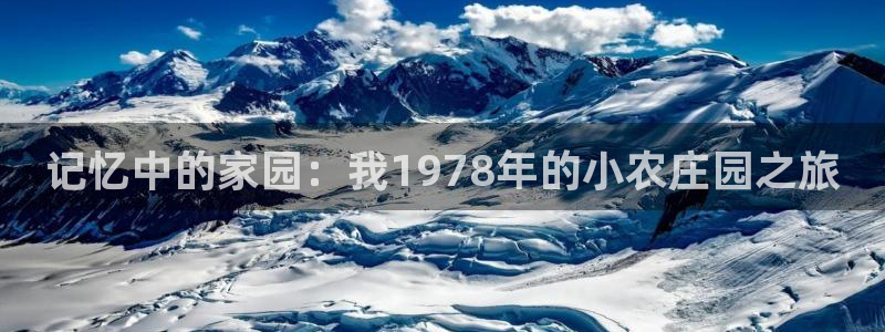 金年会官网地址