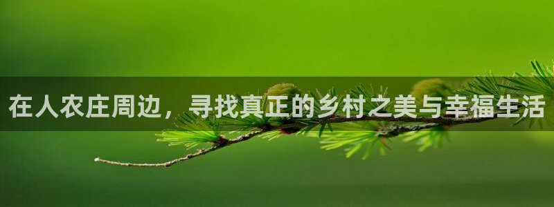 金年会平台出款