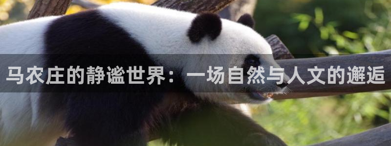 金年会全站