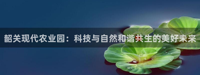 金年会黑平台