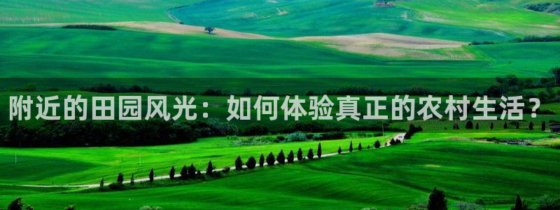 金年会app在线
